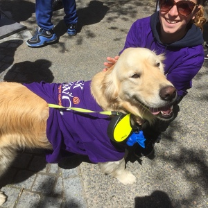 Team Page: Endicott Gulls